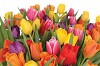 BOOK NOW FOR MOTHER'S DAY BOOK NOW FOR MOTHER'S DAY
